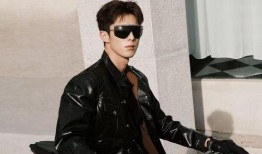 王鹤棣娱乐八卦爆料全部,揭秘明星背后的故事与争议